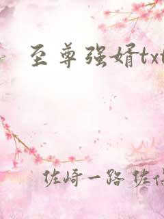 至尊强婿txt