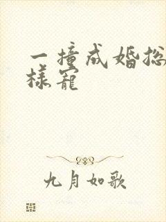 一撞成婚总裁花样宠