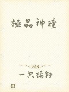 极品神瞳