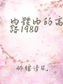 肉体内的高速公路1980