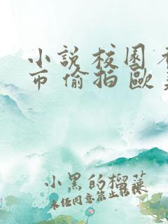 小说 校园 都市 偷拍 欧美