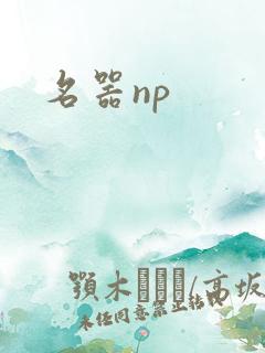 名器np