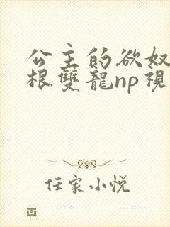 公主的欲奴h四根双龙np视频