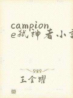 campione弑神者小说