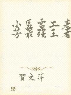 小区电工老周刘芳最强王者