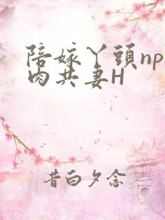 陪嫁丫头np全肉共妻H