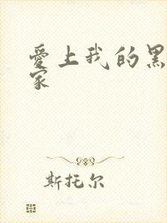 爱上我的黑道冤家