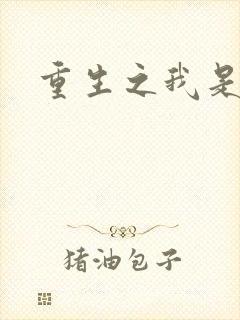 重生之我是影后