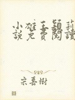 小雄王颖莉的小说免费阅读全文