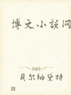 博文小说网