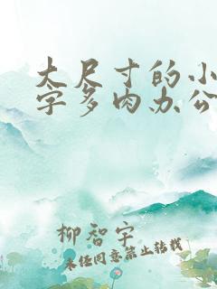 大尺寸的小黄说字多肉办公室作文