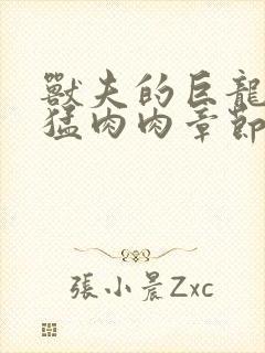 兽夫的巨龙太凶猛肉肉章节