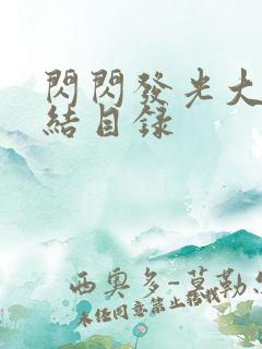 闪闪发光大团圆结目录