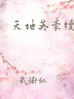 天地英豪续集