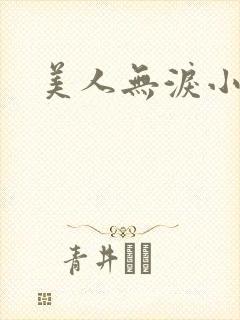 美人无泪小说