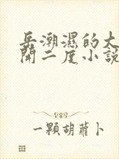 岳潮湿的大肥梅开二度小说