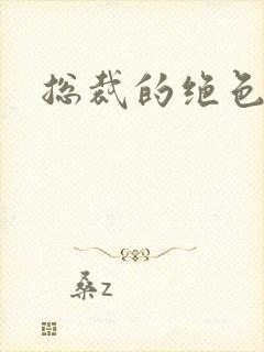 总裁的绝色娇妻