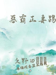 恶霸正妻踢娇妾