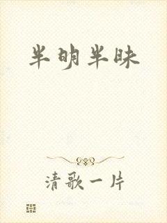 半明半昧