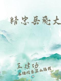 精忠岳飞大结局