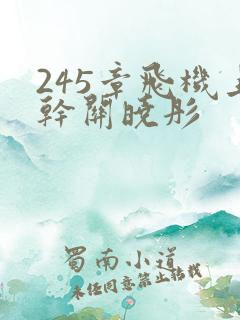 245章飞机上干关晓彤