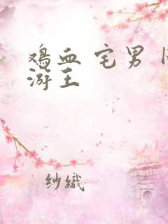 鸡血 宅男 网游王