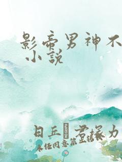 影帝男神不节制 小说