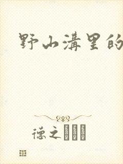 野山沟里的村庄