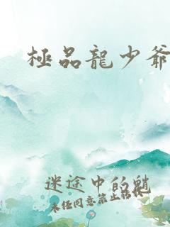 极品龙少爷