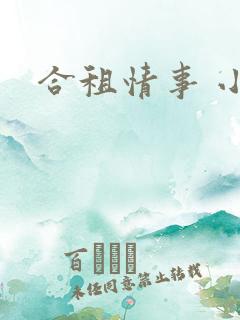 合租情事 小说