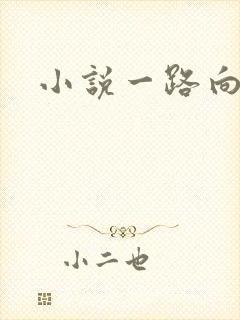 小说一路向西