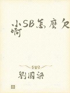 小SB怎么欠C啊