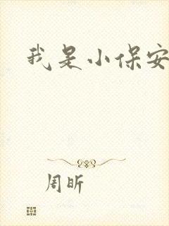 我是小保安