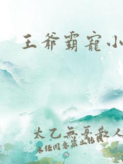王爷霸宠小甜妻