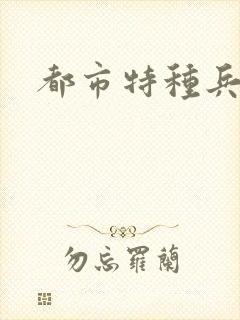 都市特种兵任天