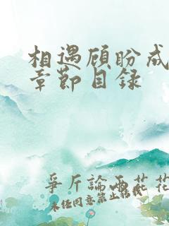 相遇顾盼成欢全章节目录