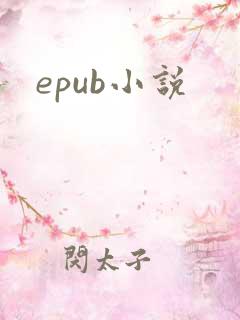 epub小说