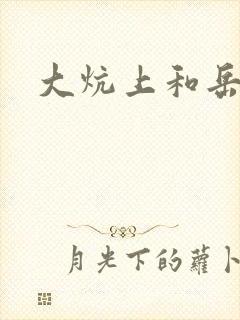 大炕上和岳偷倩