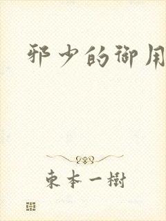 邪少的御用恋人