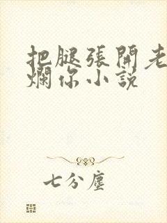 把腿张开老子臊烂你小说