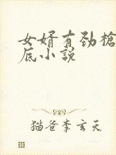 女婿有劲枪枪到底小说