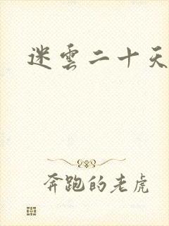 迷云二十天