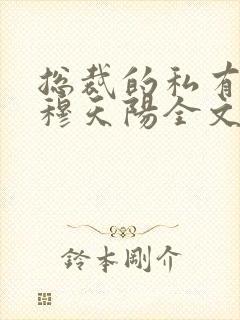 总裁的私有宝贝穆天阳全文阅读