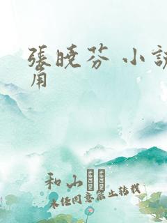 张晓芬 小说主角