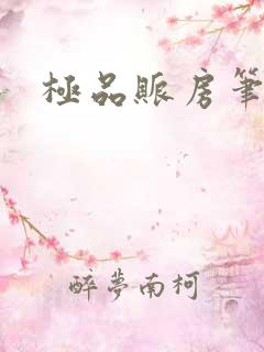 极品账房笔趣阁