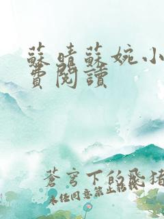 苏晴苏婉小说免费阅读