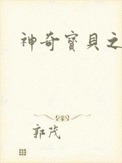 神奇宝贝之一辉