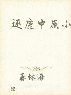 逐鹿中原小说