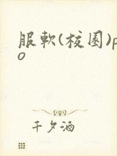服软(校园)po