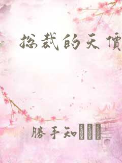 总裁的天价宝贝